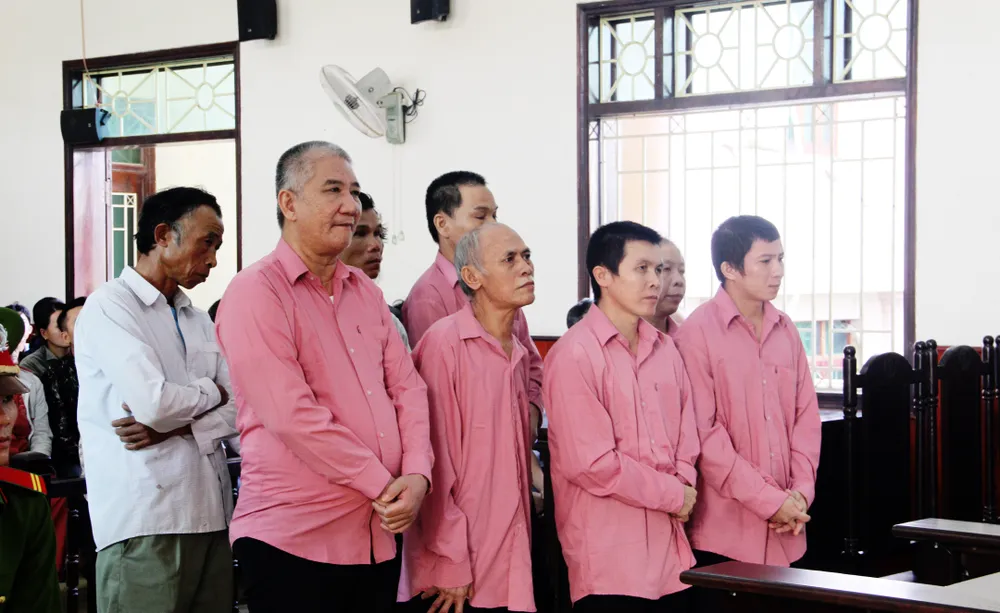 Phá rừng quy mô lớn, 9 bị cáo bị phạt 81 năm tù, buộc bồi thường 4,7 tỷ đồng ảnh 2