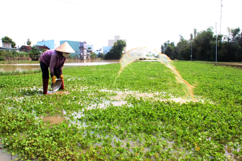 Cuối năm lũ vẫn đang “vây ráp” Phú Yên và Bình Định, 1 người chết vì lũ cuốn  ảnh 9
