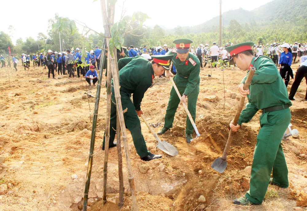 Trồng mới 2 triệu cây xanh phát động Tháng Thanh niên 2019 ảnh 12