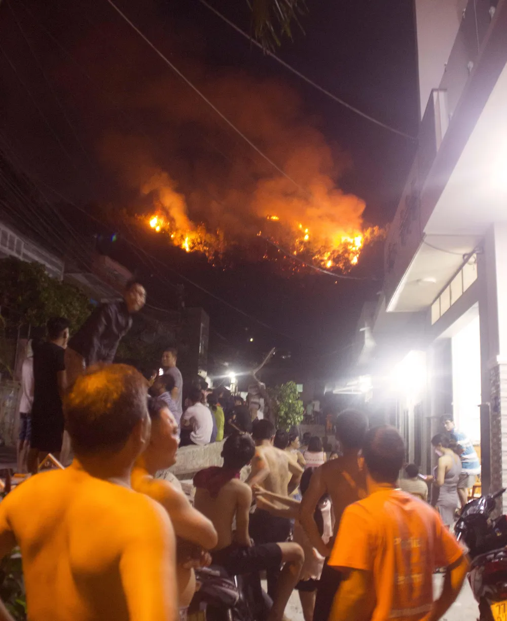 Núi giữa thành phố Quy Nhơn bùng lửa, uy hiếp hàng trăm hộ dân ảnh 2