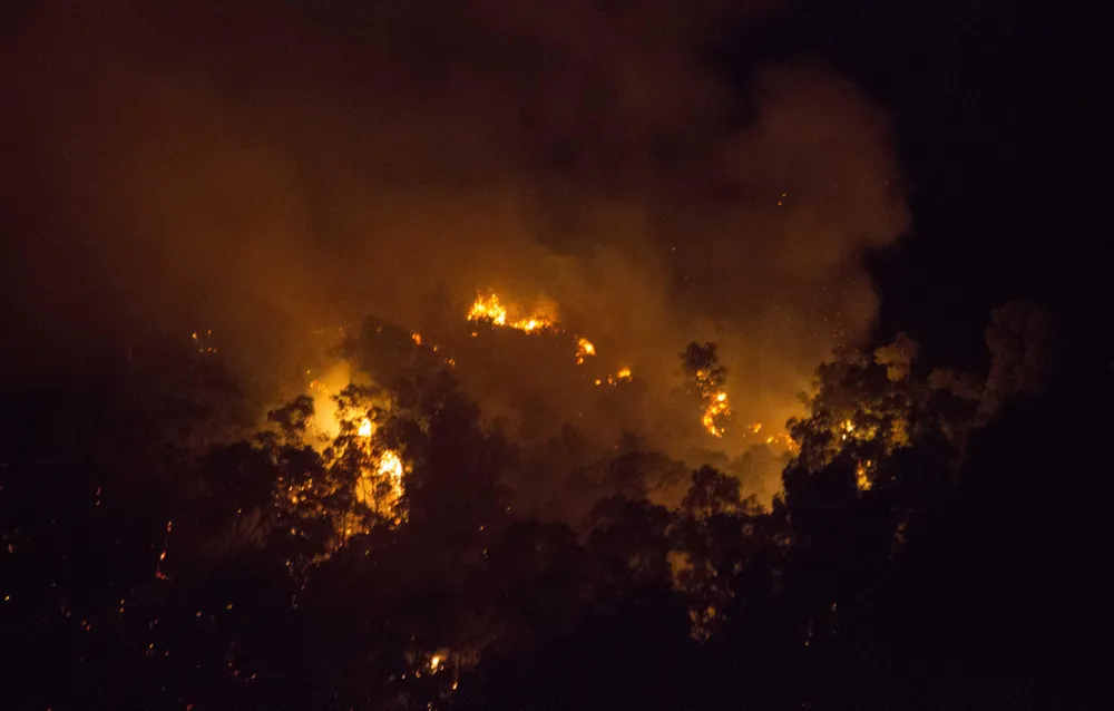 Núi giữa thành phố Quy Nhơn bùng lửa, uy hiếp hàng trăm hộ dân ảnh 6