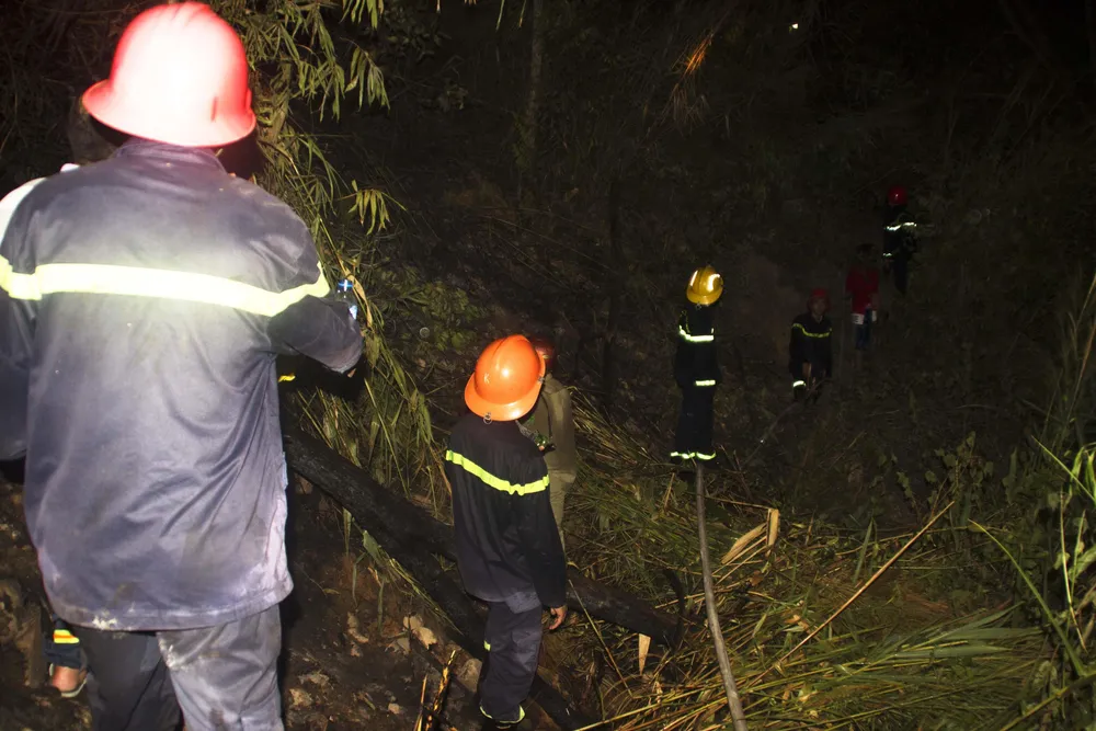 Núi giữa thành phố Quy Nhơn bùng lửa, uy hiếp hàng trăm hộ dân ảnh 8