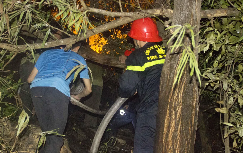 Núi giữa thành phố Quy Nhơn bùng lửa, uy hiếp hàng trăm hộ dân ảnh 7