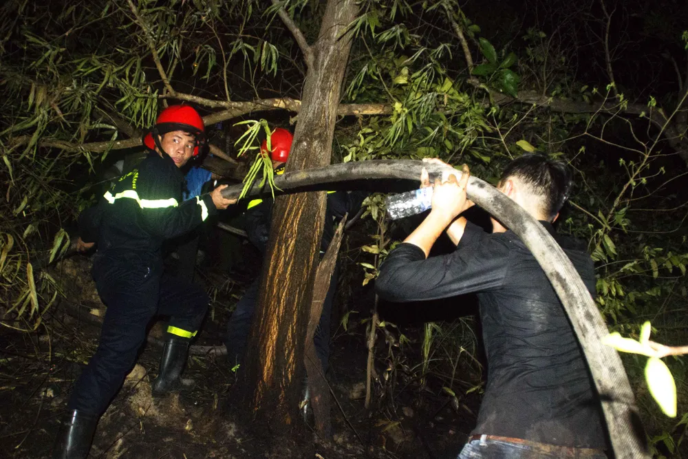 Núi giữa thành phố Quy Nhơn bùng lửa, uy hiếp hàng trăm hộ dân ảnh 10