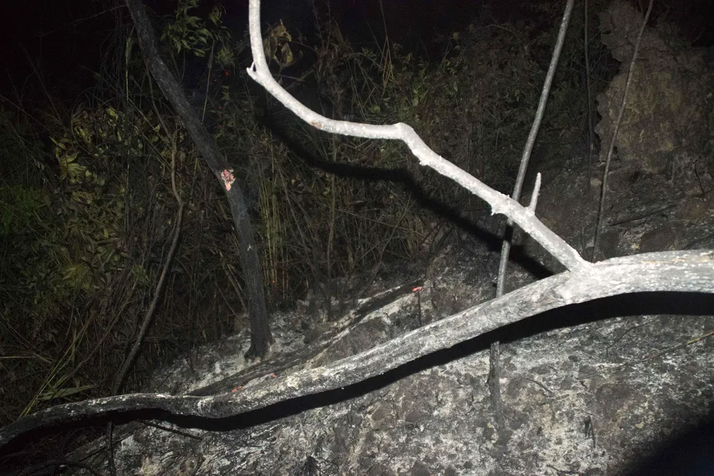 Núi giữa thành phố Quy Nhơn bùng lửa, uy hiếp hàng trăm hộ dân ảnh 13