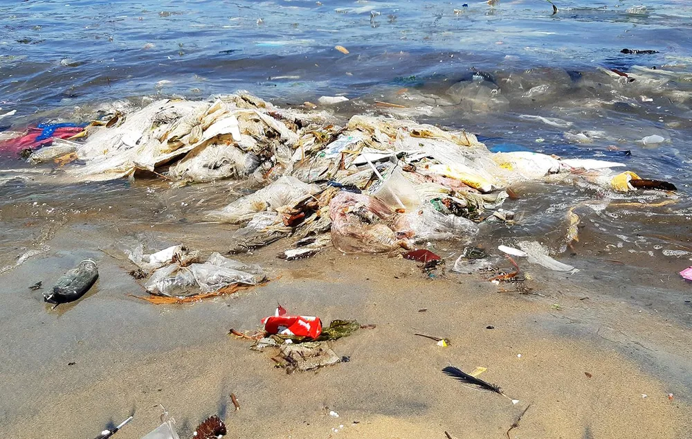 Cận cảnh bãi biển đẹp như tranh bị “đầu độc” bởi rác thải ảnh 4