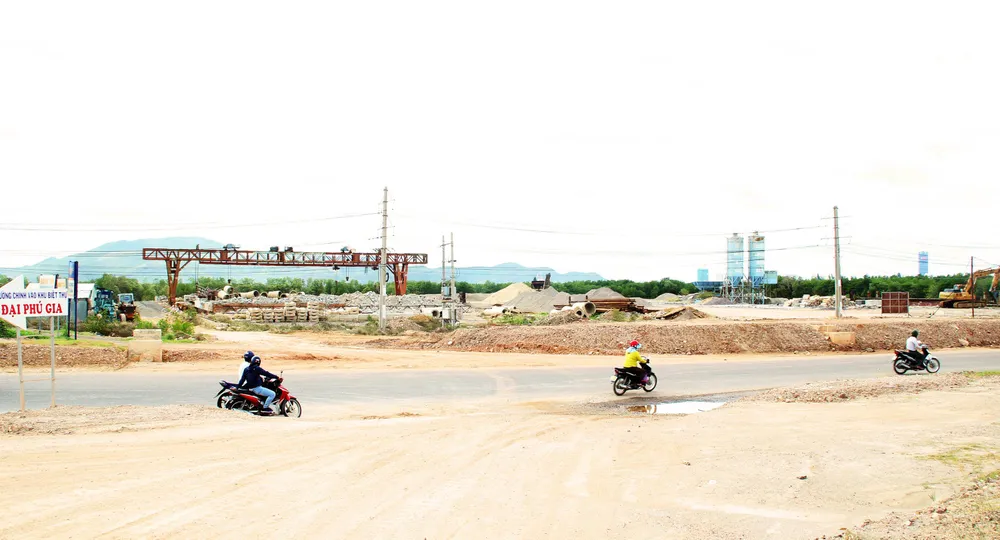 Rừng ngập mặn ven đầm Thị Nại đang bị băm nát ảnh 7