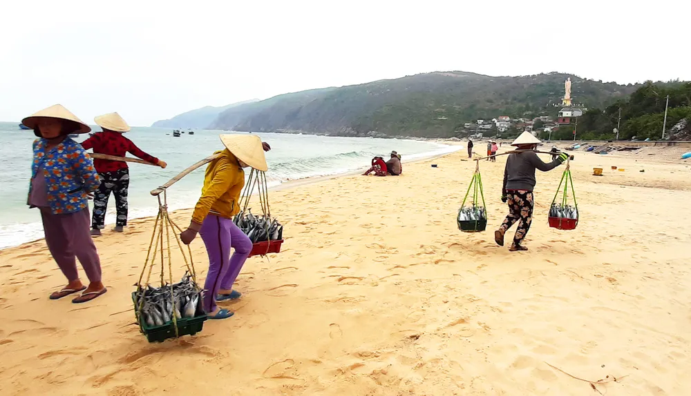 Biển gần bờ xuất hiện nhiều đàn cá, ngư dân Bình Định trúng lớn ảnh 4