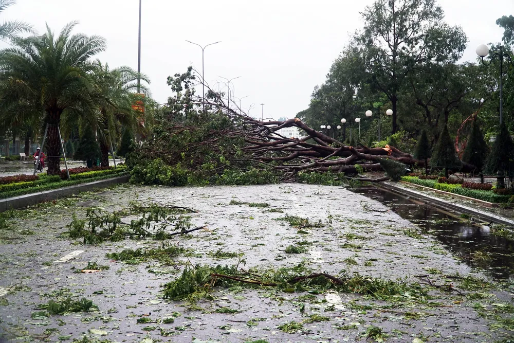 Phố biển Quy Nhơn tan hoang sau bão Matmo ảnh 7