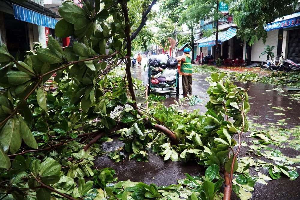 Phố biển Quy Nhơn tan hoang sau bão Matmo ảnh 9