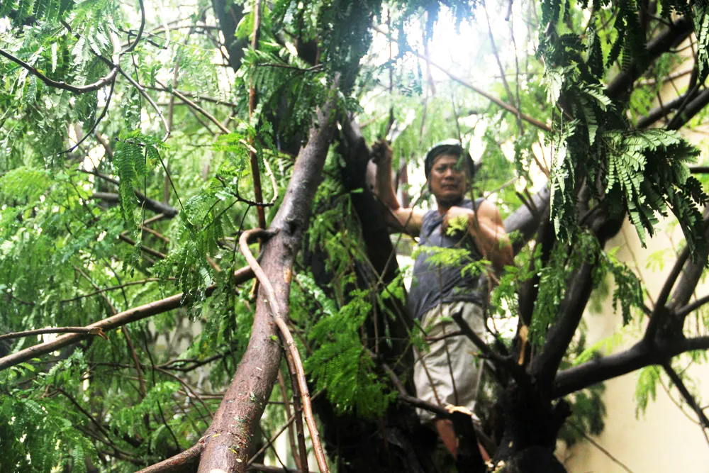 Phố biển Quy Nhơn tan hoang sau bão Matmo ảnh 6