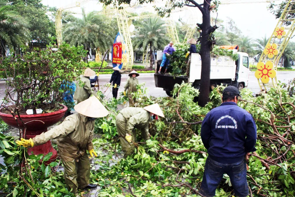 Dọn hàng ngàn tấn rác thải, khôi phục 2.000 cây xanh bị bão quật ngã ảnh 2