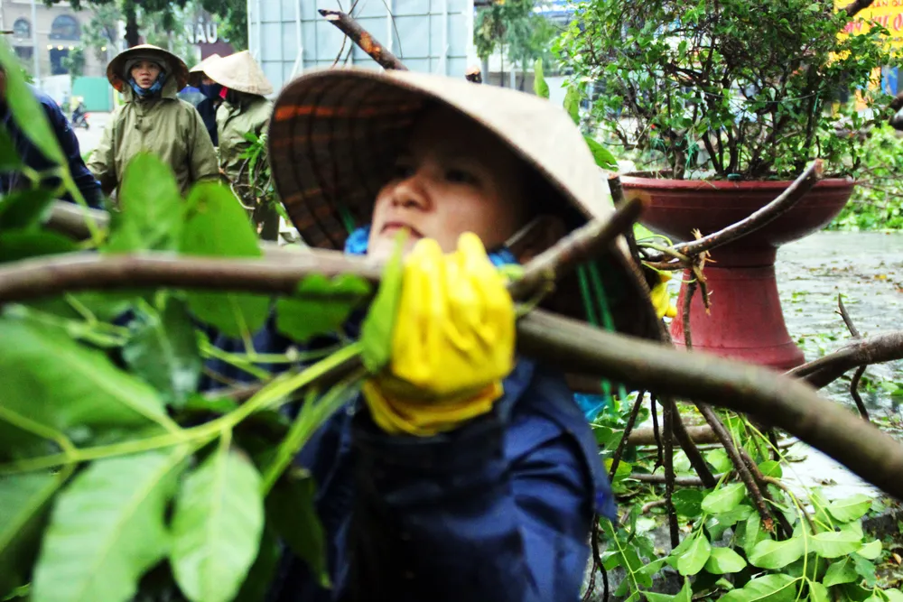 Dọn hàng ngàn tấn rác thải, khôi phục 2.000 cây xanh bị bão quật ngã ảnh 7