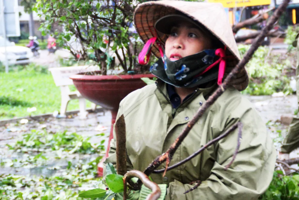 Dọn hàng ngàn tấn rác thải, khôi phục 2.000 cây xanh bị bão quật ngã ảnh 6