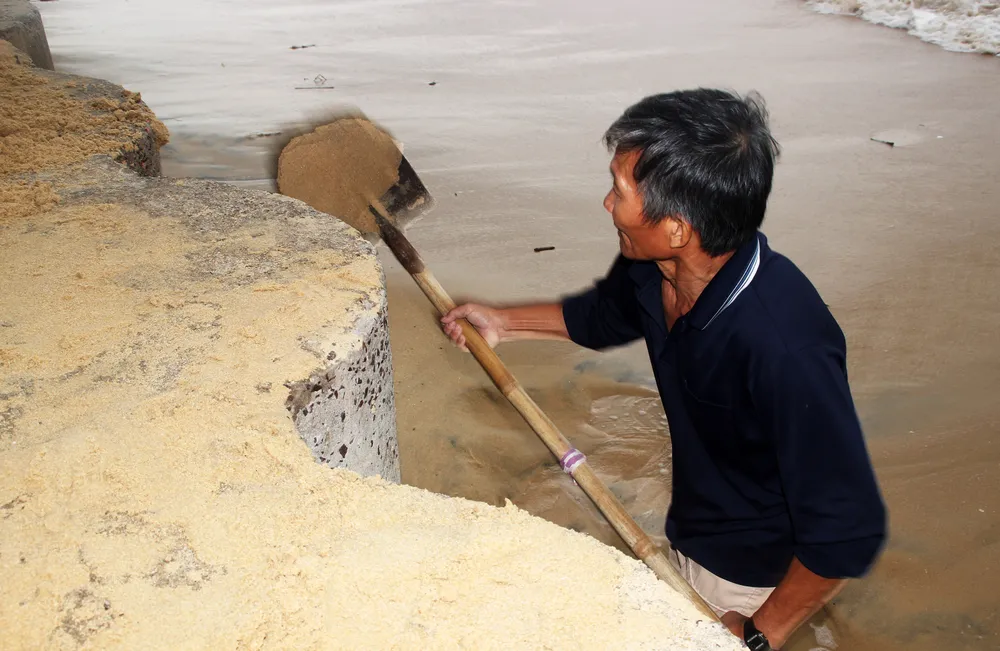 Tâm bão số 6 dự báo đổ bộ vào Bình Định, Phú Yên ảnh 3