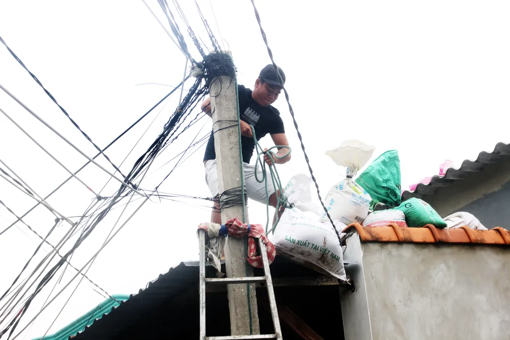 Tâm bão số 6 dự báo đổ bộ vào Bình Định, Phú Yên ảnh 15