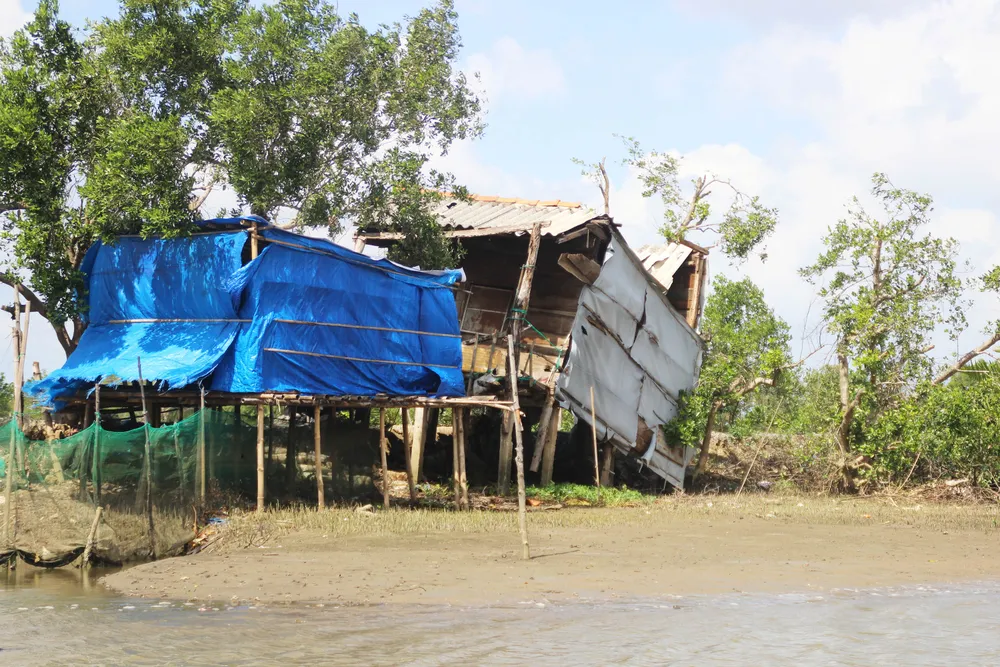 Người nuôi cá, cua đầm Thị Nại lo “mất tết” ảnh 9