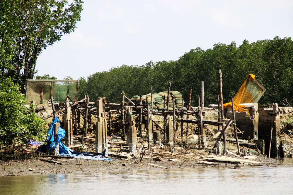 Người nuôi cá, cua đầm Thị Nại lo “mất tết” ảnh 8
