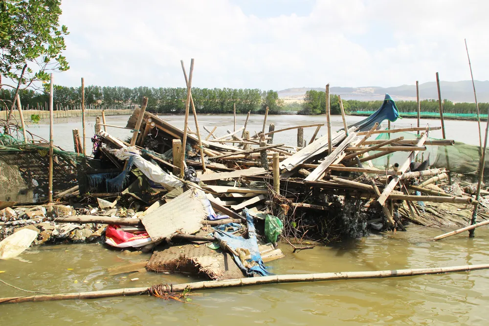 Người nuôi cá, cua đầm Thị Nại lo “mất tết” ảnh 10