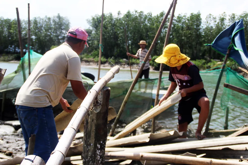Người nuôi cá, cua đầm Thị Nại lo “mất tết” ảnh 11