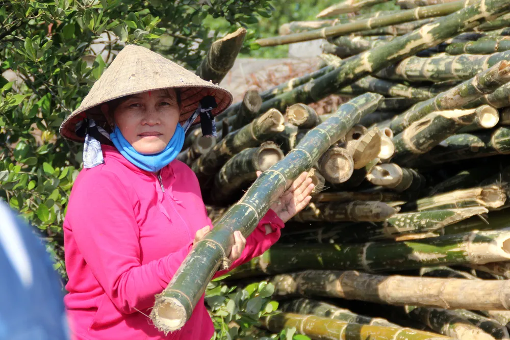 Người nuôi cá, cua đầm Thị Nại lo “mất tết” ảnh 12