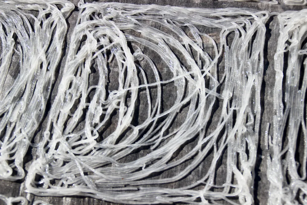 Kỳ thú làm bún Song Thằn ở “đất Võ” ảnh 6