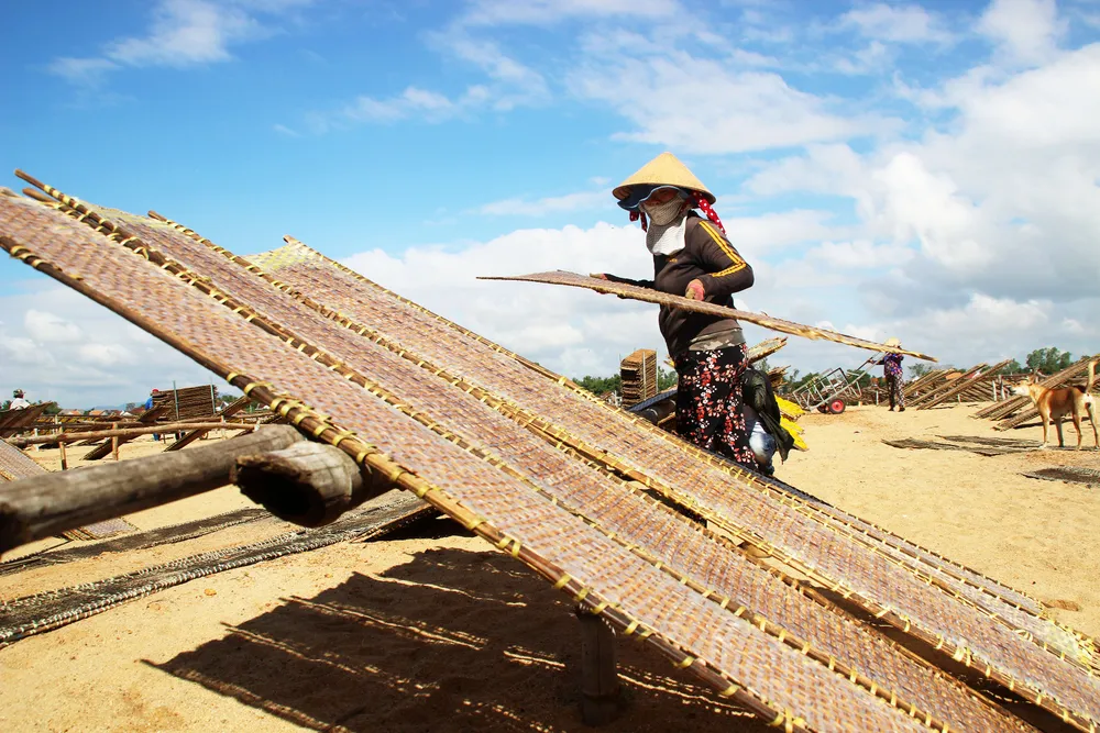 Kỳ thú làm bún Song Thằn ở “đất Võ” ảnh 10