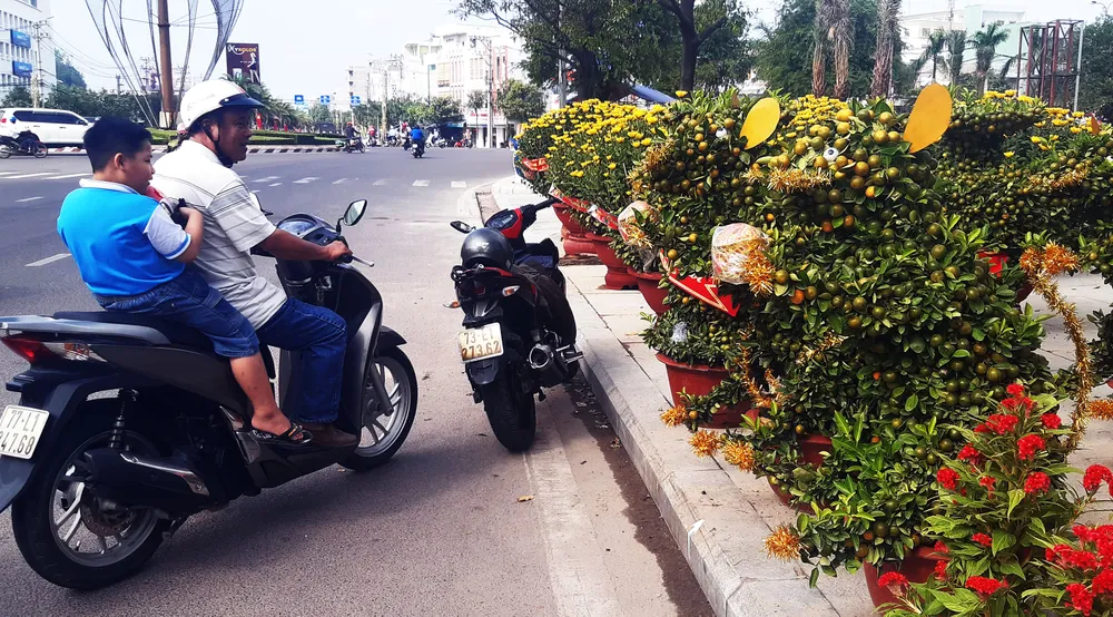 Ngắm bonsai quất tạo hình chuột độc đáo ở Bình Định ảnh 8