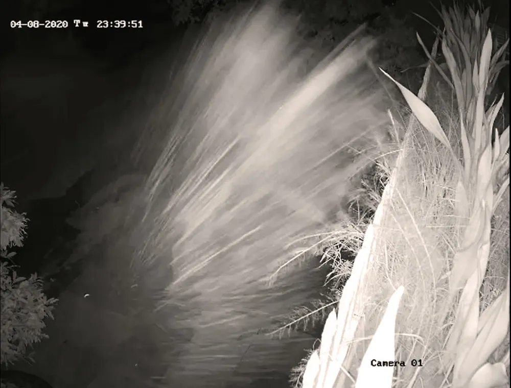 Công an điều tra kẻ tông phá một nhà hàng nổi ở vịnh Quy Nhơn ảnh 8