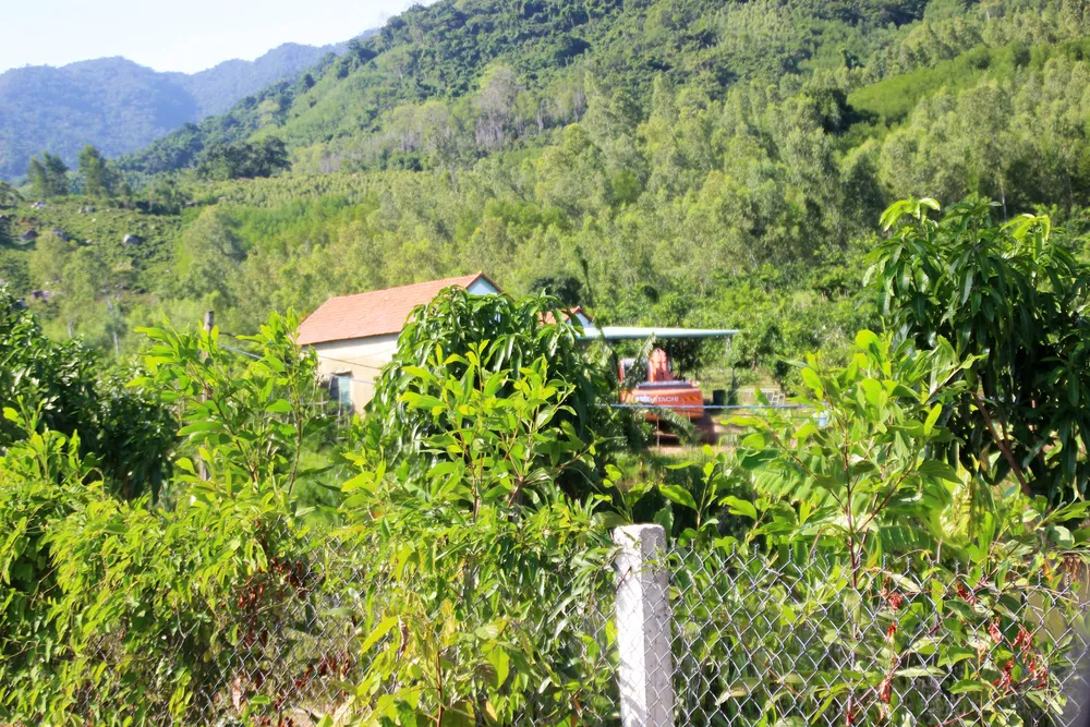 Dân “tố” doanh nghiệp được bao che làm càn ở thủy Bầu Châu ảnh 2