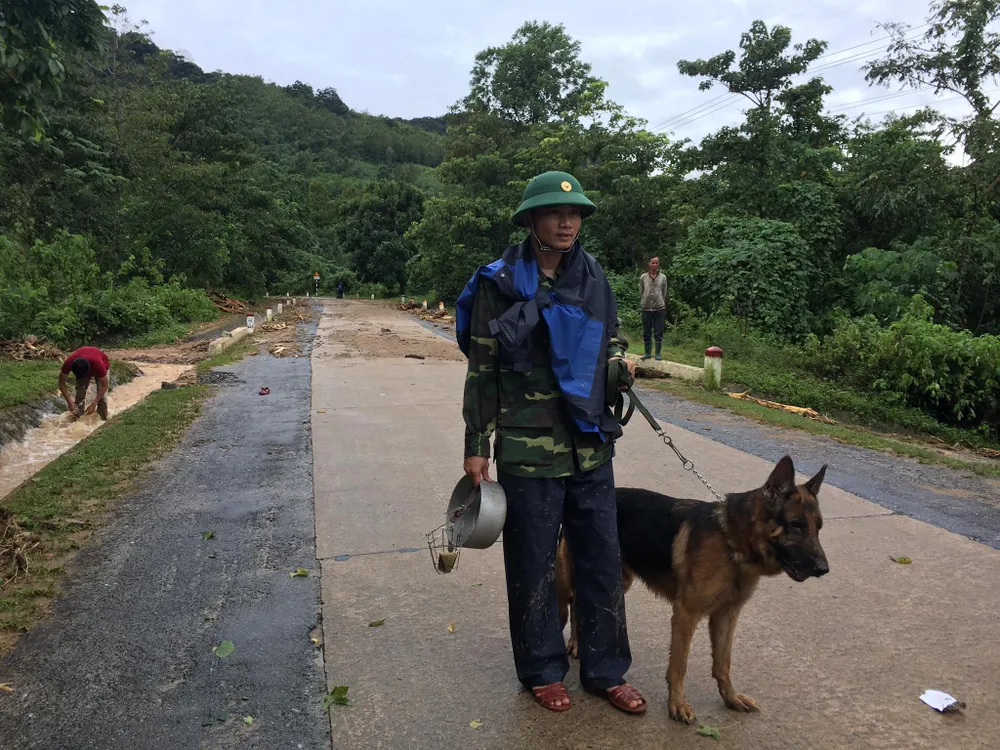 Đã tìm thấy thi thể 14 người tại khu vực sạt lở đất ở Đoàn Kinh tế quốc phòng 337 ảnh 22