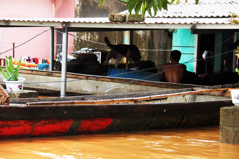 Quảng Trị nỗ lực tìm kiếm 11 người bị lũ cuốn mất tích  ảnh 9