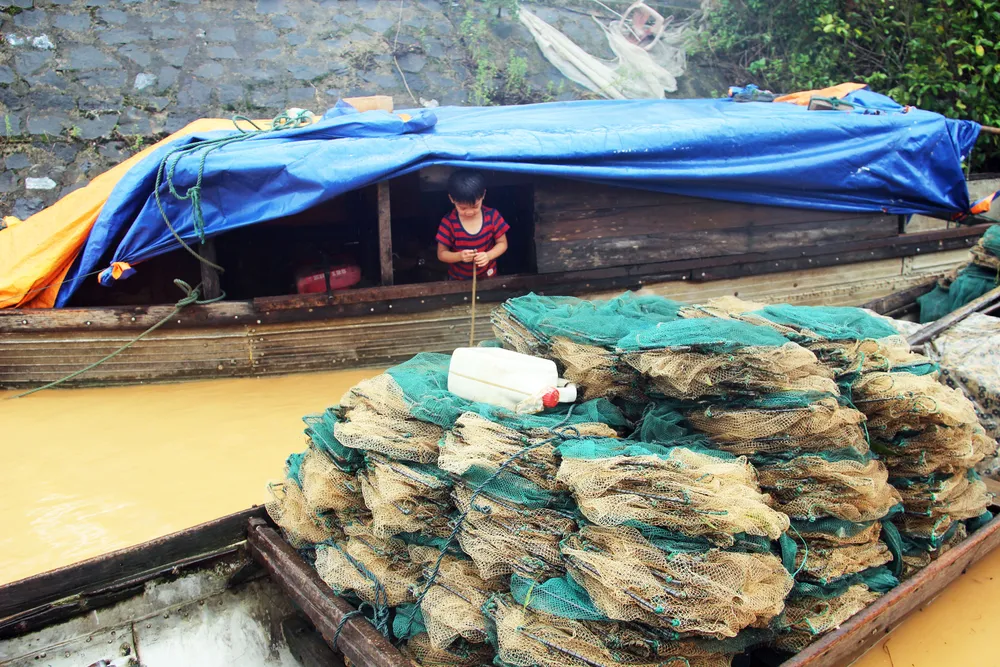 Quảng Trị nỗ lực tìm kiếm 11 người bị lũ cuốn mất tích  ảnh 16