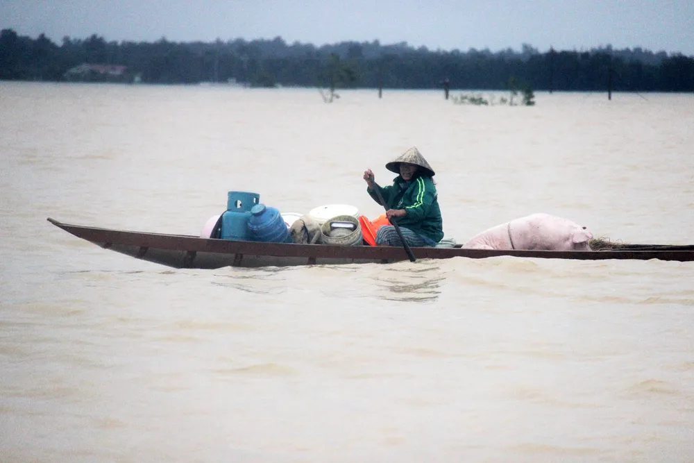 Người dân Lệ Thủy kiệt quệ vì lũ ảnh 13