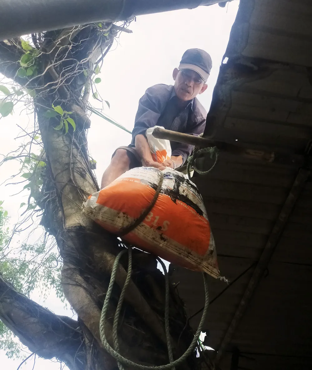 Căng mình ứng phó bão số 9 ảnh 9