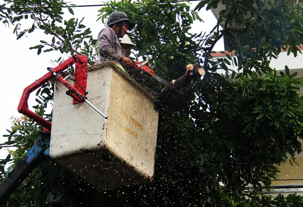 Căng mình ứng phó bão số 9 ảnh 42