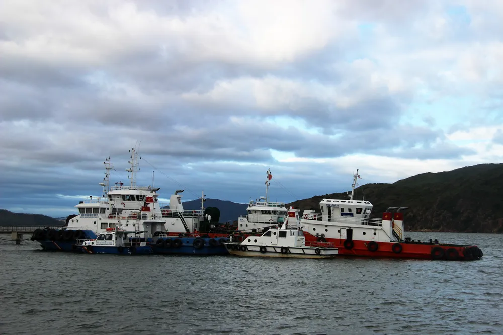 Dự báo bão số 10 suy yếu, các địa phương vẫn lên kế hoạch ứng phó ảnh 3