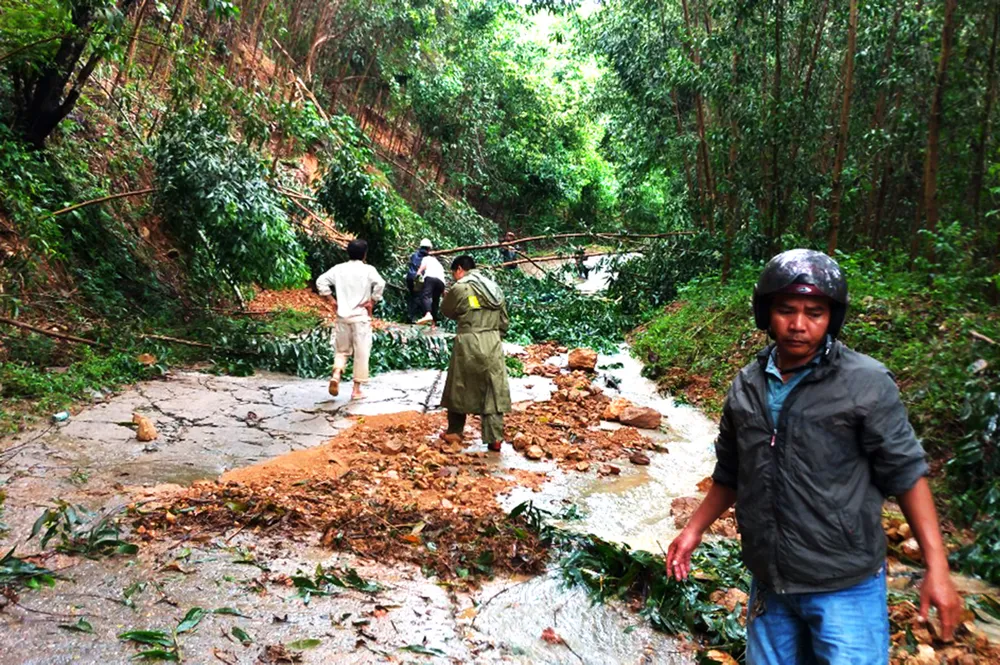 Bình Định báo cáo sự cố sạt lở tại Thủy điện Vĩnh Sơn 5 ảnh 10