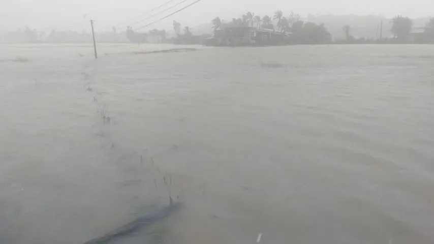 Những thiệt hại ban đầu của cơn bão số 12 ảnh 19