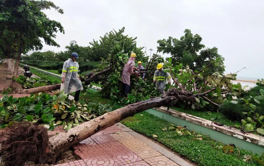 Những thiệt hại ban đầu của cơn bão số 12 ảnh 3