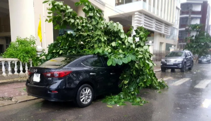 Những thiệt hại ban đầu của cơn bão số 12 ảnh 4