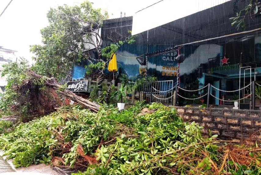 Những thiệt hại ban đầu của cơn bão số 12 ảnh 8