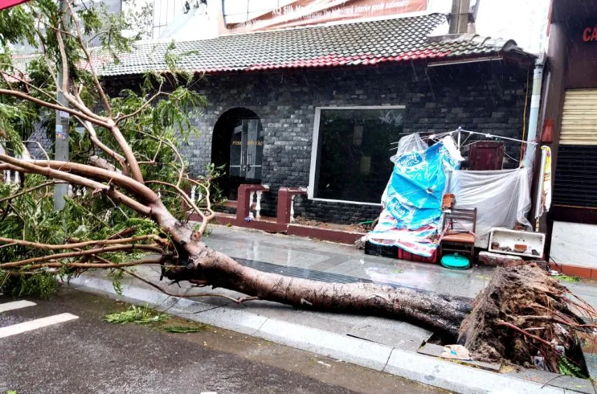 Những thiệt hại ban đầu của cơn bão số 12 ảnh 10