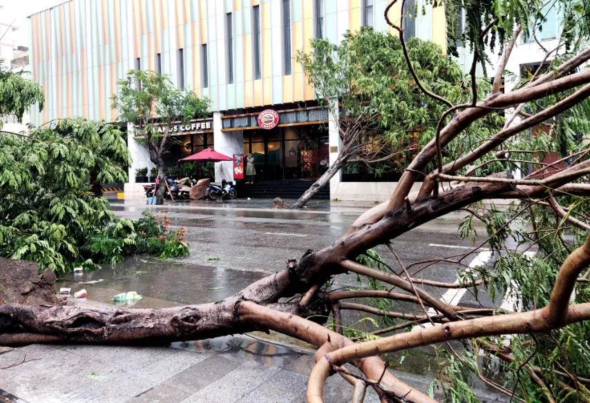 Những thiệt hại ban đầu của cơn bão số 12 ảnh 11