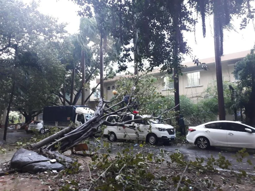 Những thiệt hại ban đầu của cơn bão số 12 ảnh 13