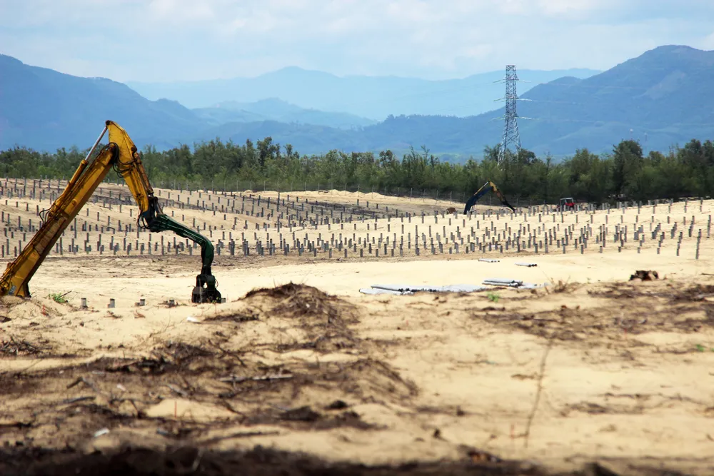 Nhiều héc ta rừng phòng hộ ven biển Bình Định bị san phẳng ảnh 15