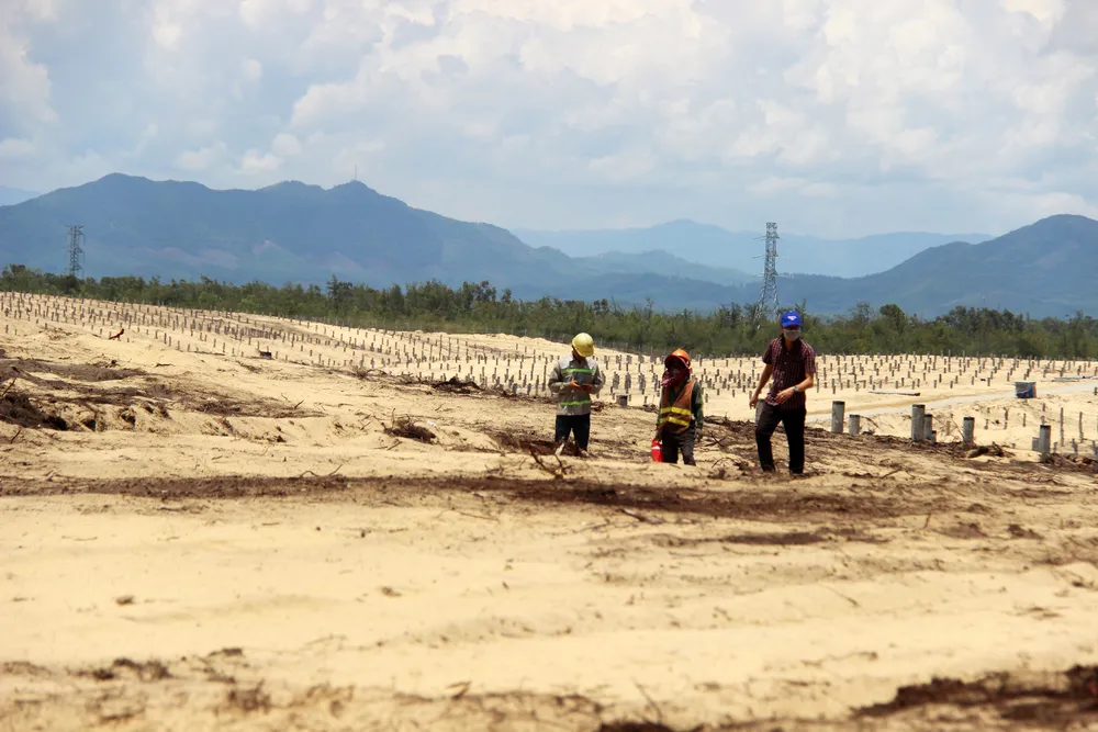 Nhiều héc ta rừng phòng hộ ven biển Bình Định bị san phẳng ảnh 18