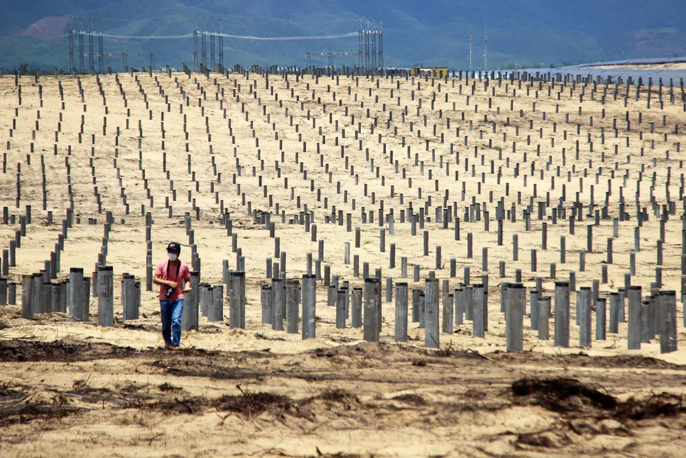 Nhiều héc ta rừng phòng hộ ven biển Bình Định bị san phẳng ảnh 13