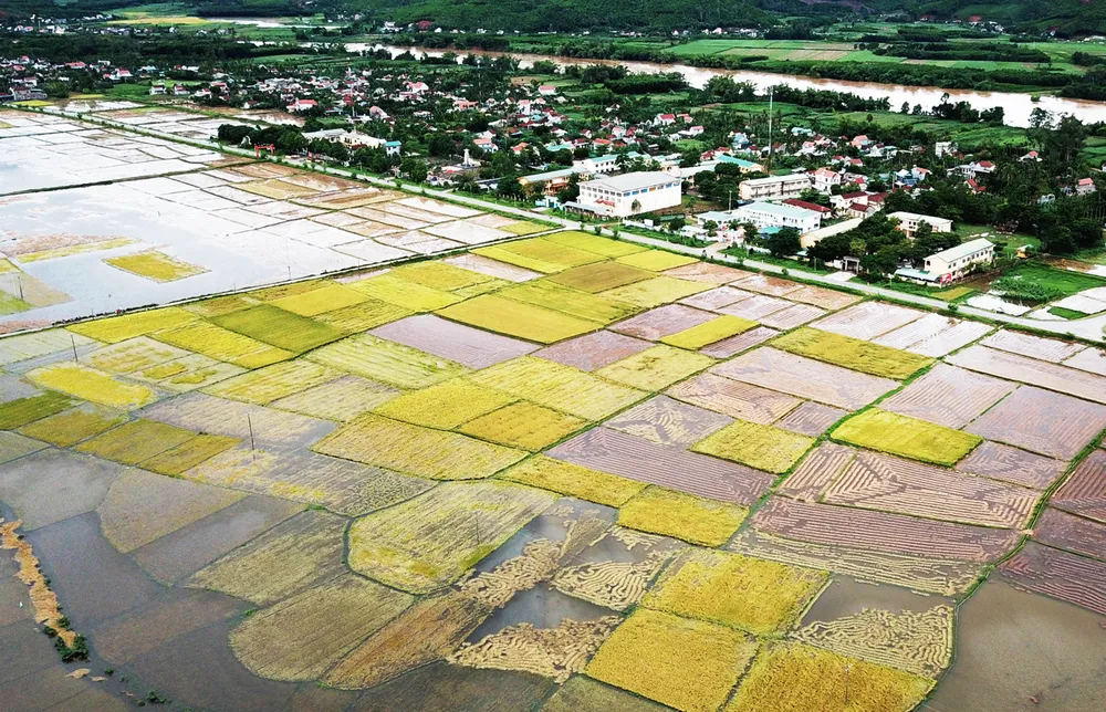 Bão số 5 suy yếu, người dân Quảng Ngãi đối diện với ngập lụt ảnh 1