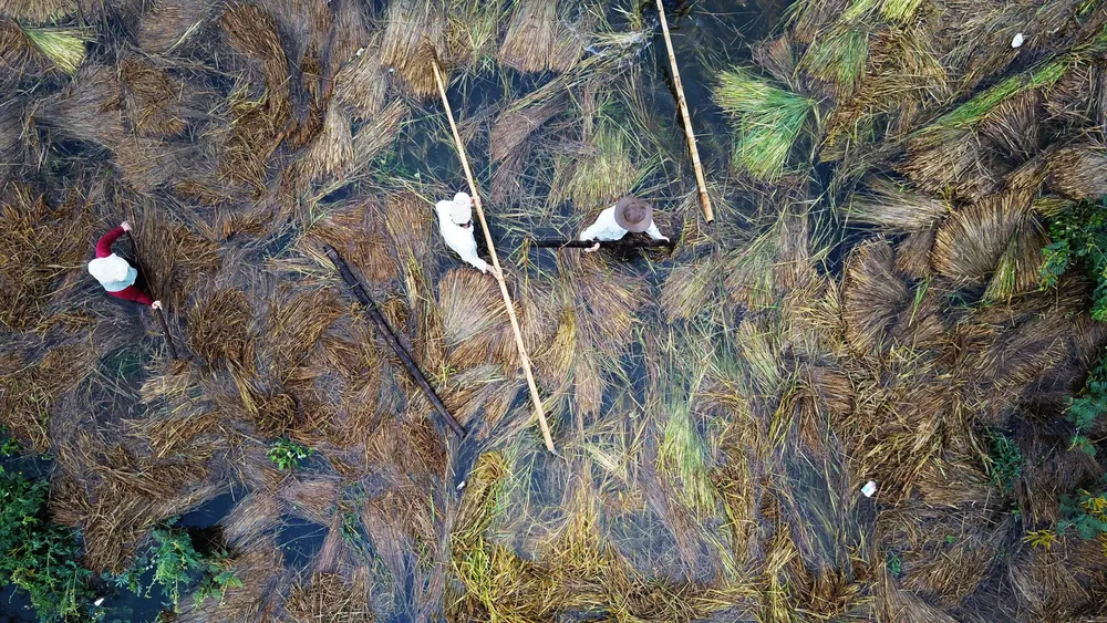 Bão số 5 suy yếu, người dân Quảng Ngãi đối diện với ngập lụt ảnh 2